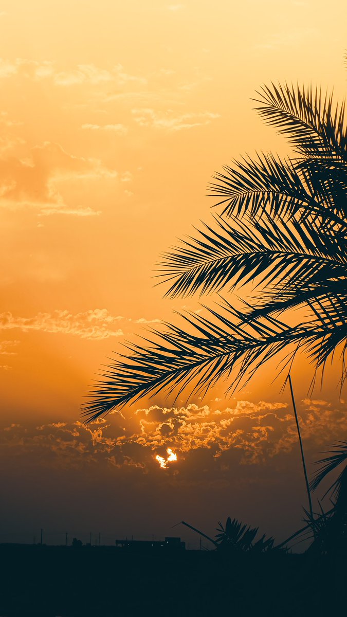 ronayiah's tweet photo. Sunset https://t.co/1pEA8DzLU2