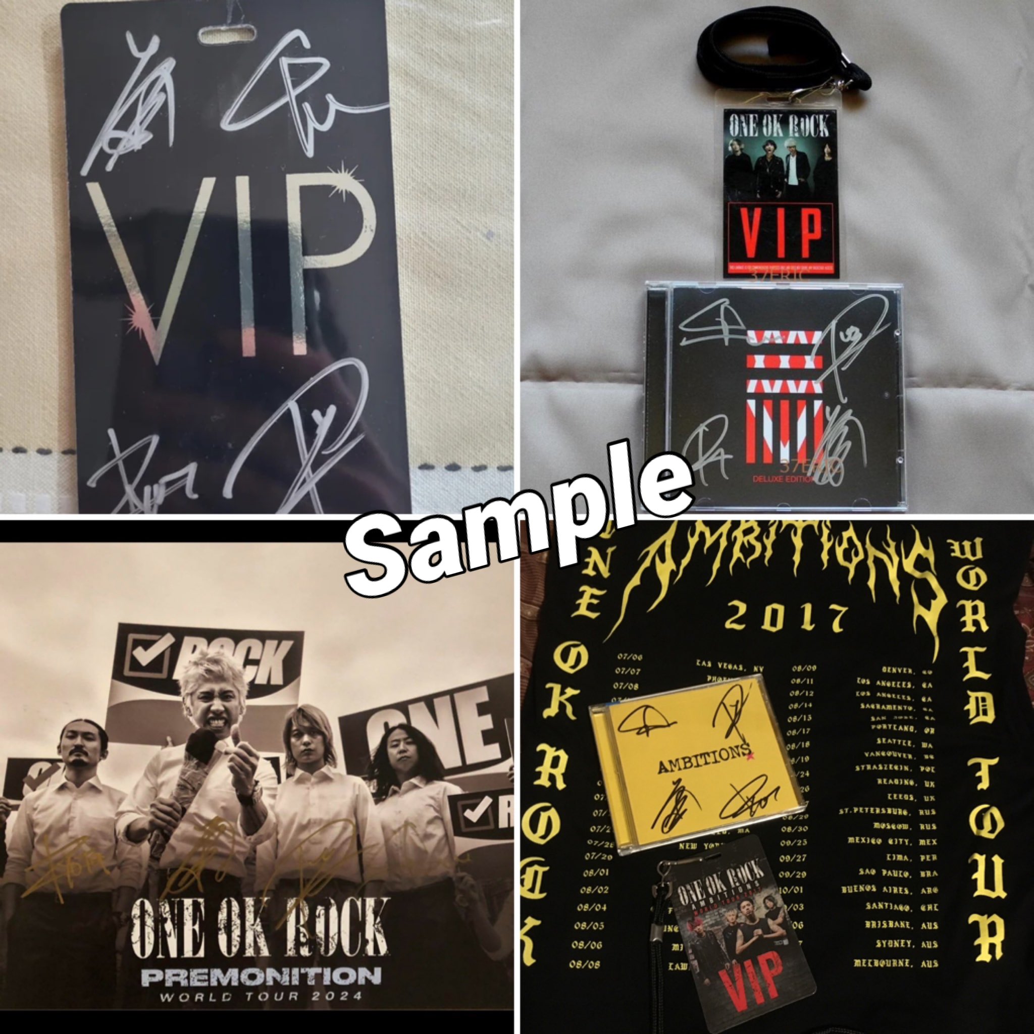 ONE OK ROCK 2015 USツアー サイン入りチケット ONE OK ROCK ワンオクロック US公演 直筆サイン入りツアー