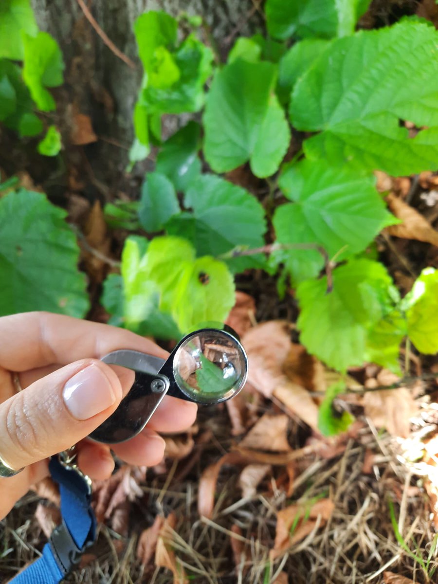 LEAF Ireland tweet media