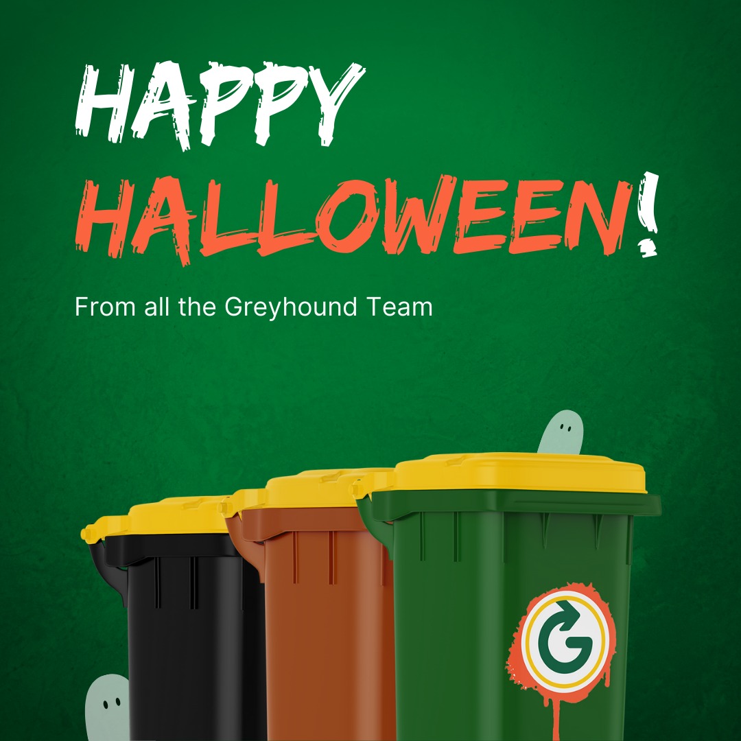 GreyhoundHousehold tweet media