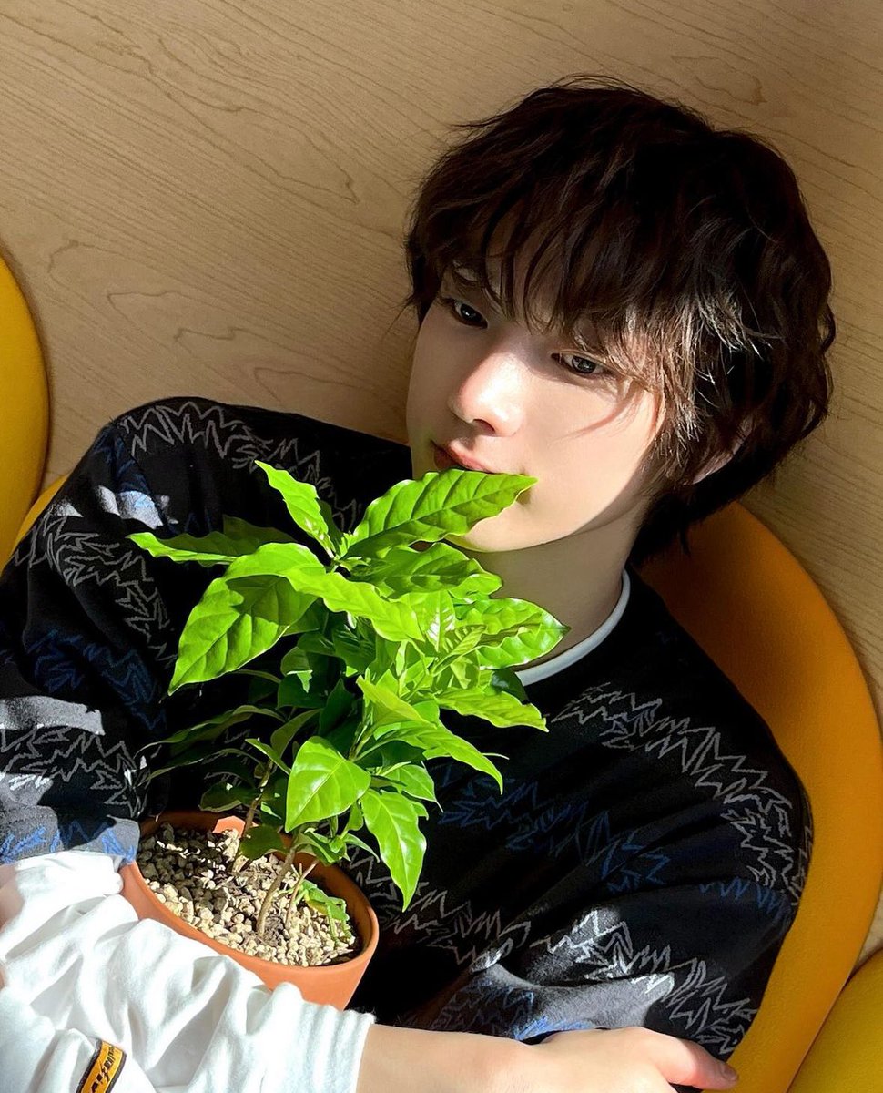 241030 보넥도 인스타 #성호