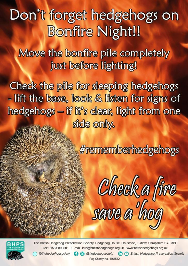 It's #WildlifeWednesday &amp; we're talking #bonfires! 
🦔 🚫 🔥 

We've put together top tips on how best to reduce the risk of harming #hedgehogs this #bonfirenight - and we want you to share it far &amp; wide!

STOP. MOVE. CHECK! ⬇️ 
buff.ly/4eo95wC 

#rememberhedgehogs