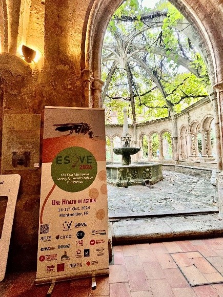 BopCo_be's tweet photo. 🦟 It was a pleasure for #BopCo to attend the 23rd European Society for Vector Ecology Conference, held October 14-17, 2024, in Montpellier, France!
🧵👇 https://t.co/4K5zmq5D5F