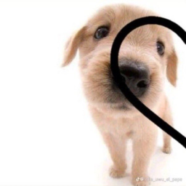 #NewProfilePic tebak