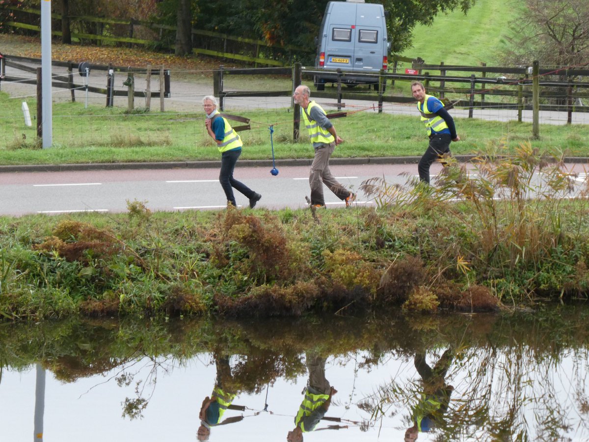 HanvRij's tweet photo. Laatste deelnemer aan de #strontrace2024 die Hillegom passeert, de lichte ‘Vriendschap’. Was weer een mooi evenement @Beurt_Stront @ZeilvrtWarmond @Strontrace https://t.co/8EbCwHTXBJ