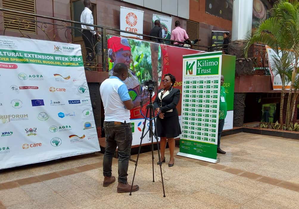 kilimoEAC's tweet photo. Our Uganda Team Leader Rachel Ajambo addressing the media on the sidelines of the Uganda Agricultural Extension Week 2024.
@UFAAS13
#AgriExtUg2024 https://t.co/0nOEuOq4WR