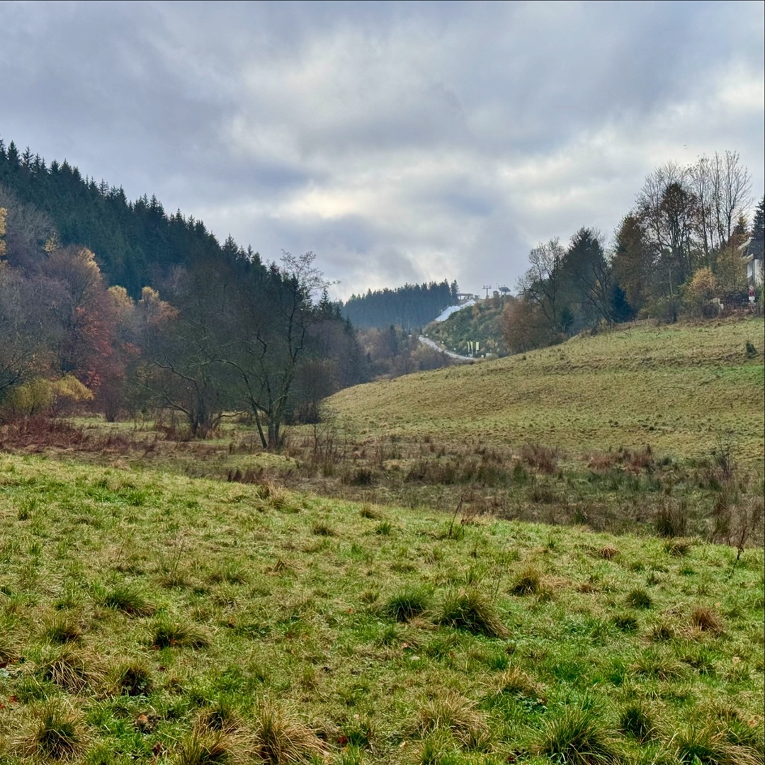 Een prachtige 5,5 km trailrun door de heuvels van Winterberg! 🍂 De klimmetjes waren pittig, maar de herfstkleuren en frisse boslucht maakten het meer dan de moeite waard. Genoten van elke stap in dit mooie stukje natuur. 🏞️ #TrailRun #Winterberg #Natuur… instagr.am/p/DBvpNQ3teX2/