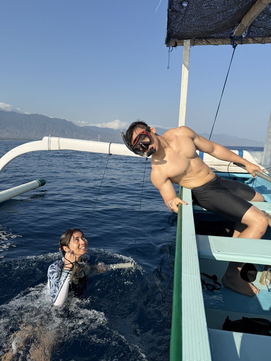 🐬 👀 dolphin watching!