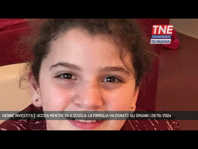telenordest's tweet photo. SANT'ANGELO DI PIOVE DI SACCO | 14ENNE INVESTITA E UCCISA MENTRE VA A SCUOLA: LA FAMIGLIA HA DONATO GLI ORGANI
https://t.co/CepjT28uef https://t.co/t2ojLt2MXp