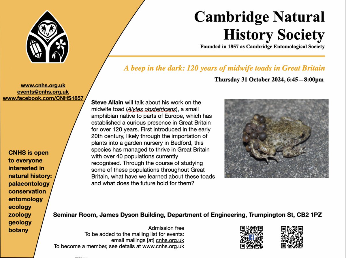 Dr Steven Allain tweet media