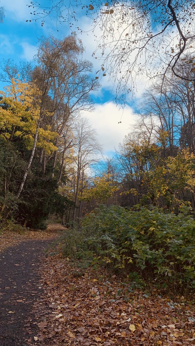 johnjallan1972's tweet photo. Off for a lunchtime walk https://t.co/xG09VTJSGm