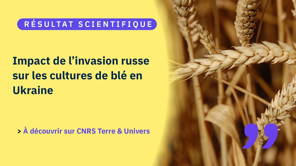 CNRS Terre & Univers (@cnrs_insu) on Twitter photo #RésultatScientifique
Des scientifiques du <a href="/CesbioLab/">Centre d'Etudes Spatiales de la Biosphère</a> en collaboration avec Kermap a analysé l'impact de l'invasion russe sur la culture du blé en Ukraine à partir d'images satellites. Pour en savoir plus ⤵️
insu.cnrs.fr/fr/cnrsinfo/im… #RésultatScientifique
Des scientifiques du <a href="/CesbioLab/">Centre d'Etudes Spatiales de la Biosphère</a> en collaboration avec Kermap a analysé l'impact de l'invasion russe sur la culture du blé en Ukraine à partir d'images satellites. Pour en savoir plus ⤵️
insu.cnrs.fr/fr/cnrsinfo/im…