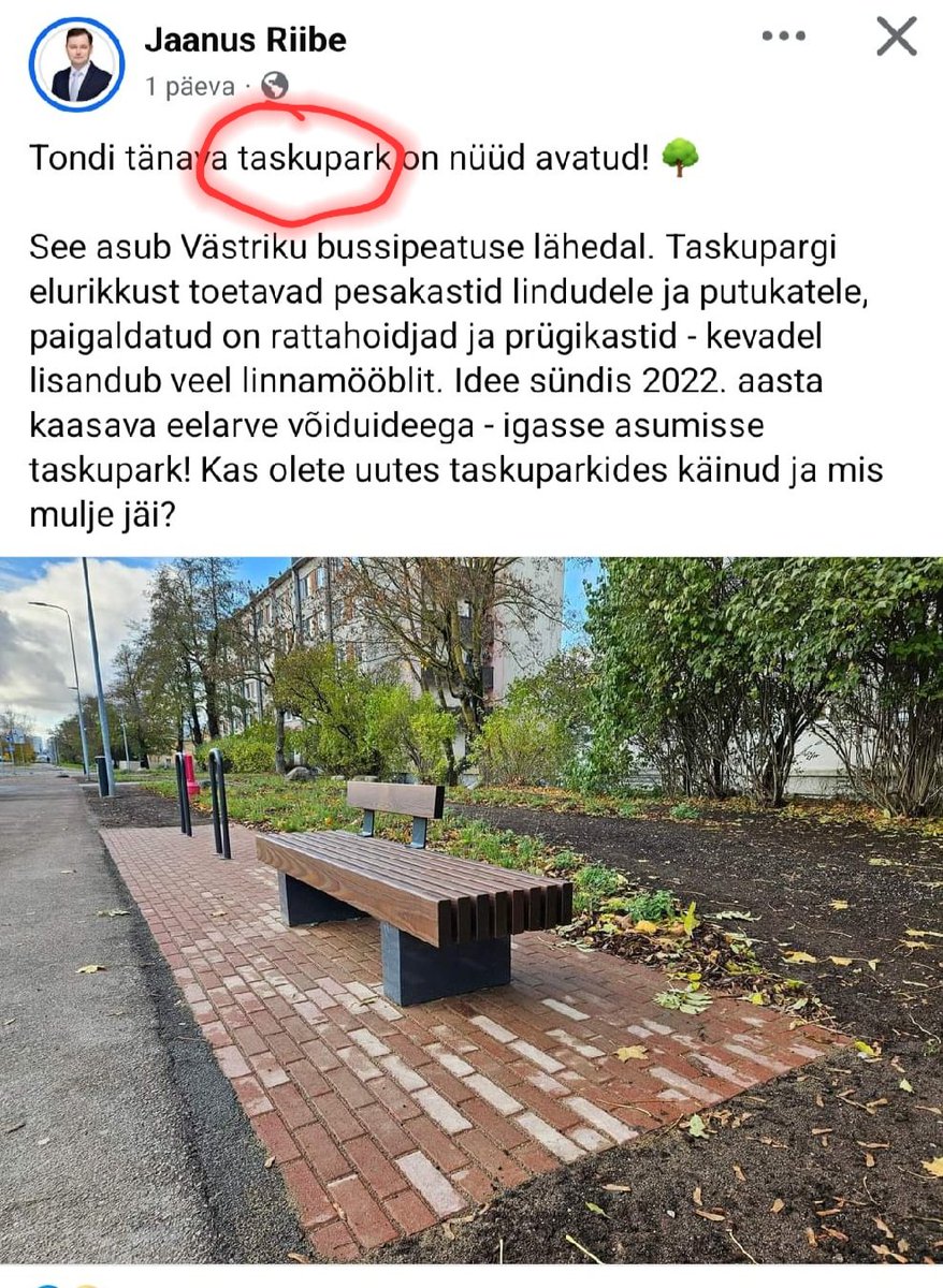 Pinki ja selle kõrval olevaid prügikasti ja rattahoidjat kutsuda taskuPARGIKS on minu arust täitsa asjakohane. Võiks ehk suuremaltki mõelda, näiteks tasku-vabaajakeskus või taskulooduskaitseala...
Btw, kirjutan seda oma kahe-toalisest taskupaleest!