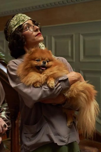 MacFarlane Chard tweet media