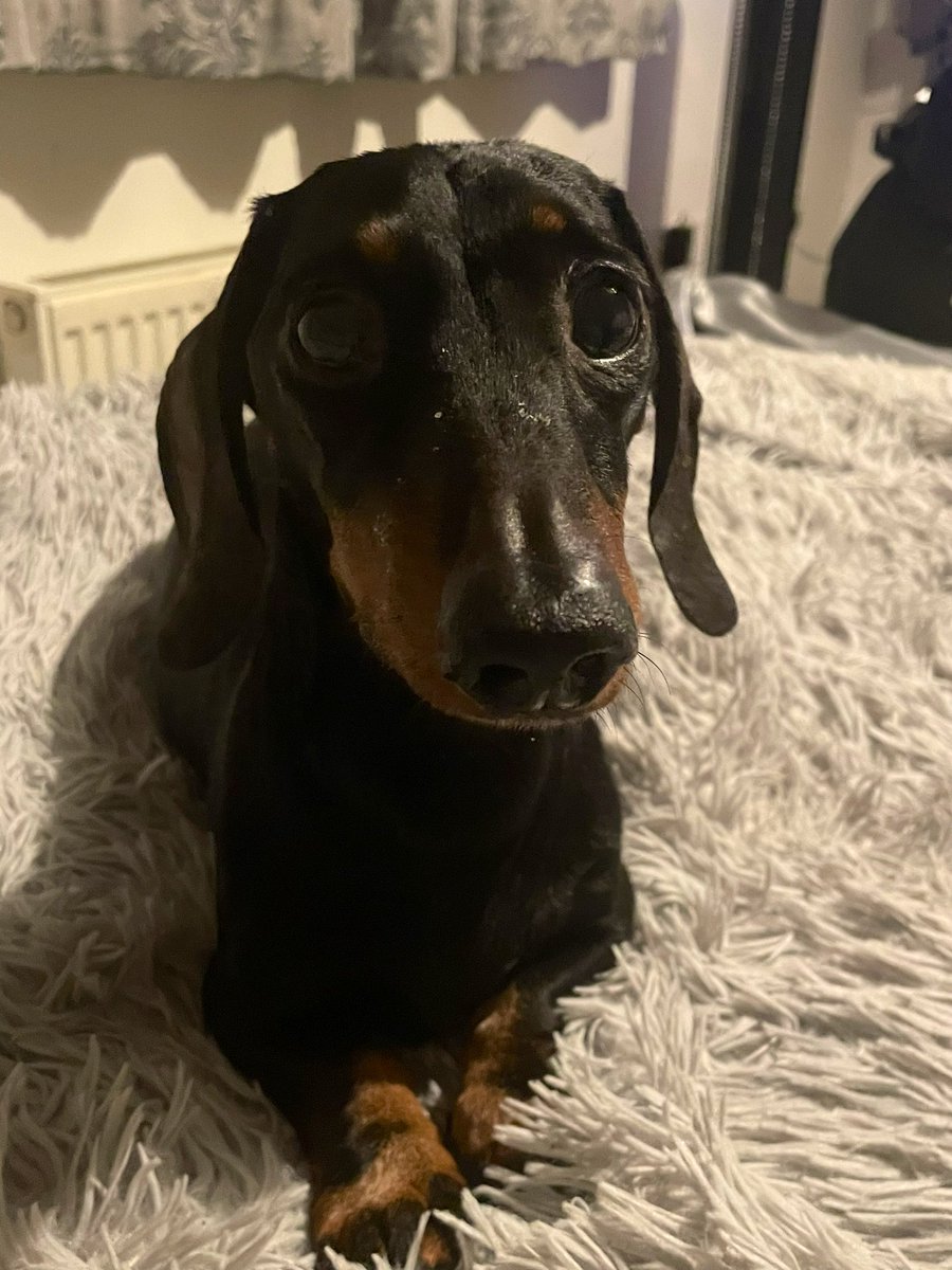 The Three Amigos tweet media