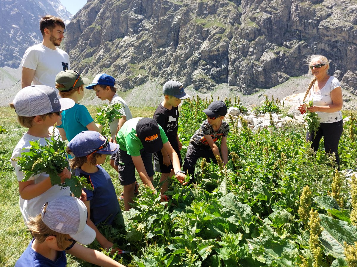 FFCAM | Fédération Française des Clubs Alpins tweet media
