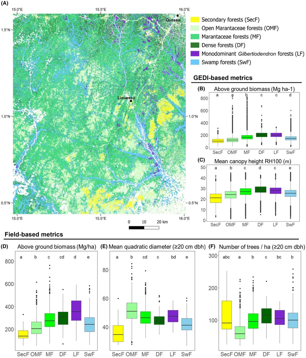 Combining satellite and field data reveals Congo's forest types structure, functioning and composition.
Picard et al.

…lpublications.onlinelibrary.wiley.com/doi/full/10.10…