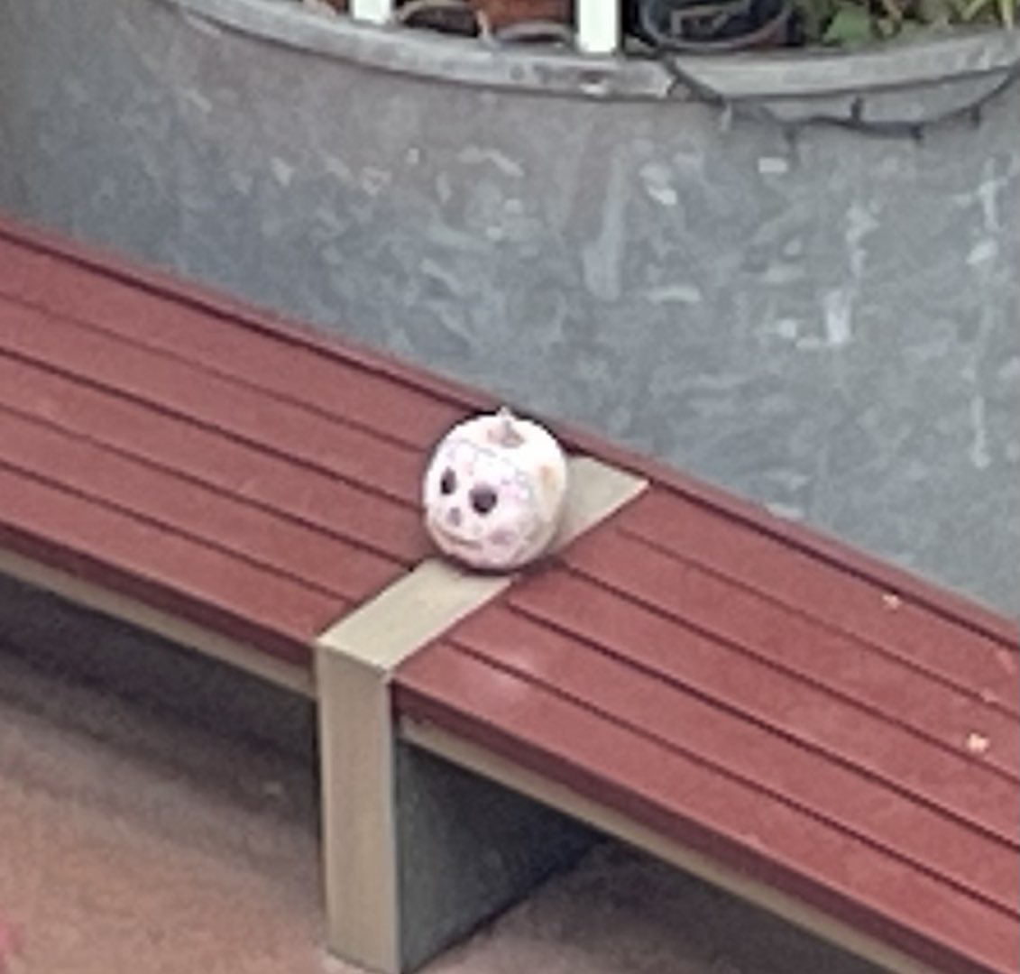 👻 🎃 Those show-off buggers down on the ground floor have made a commendable effort for Halloween. Dunno if the blue one is meant to be a pretty woman with lippy, lashes and locks or was the Mexican Wrestler look intentional.
Top marks for the rubber glove and Sugar Skull
🎃 👻