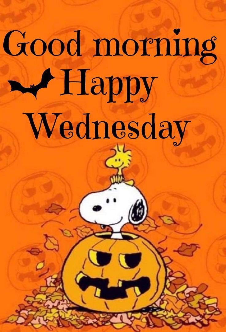 Good Morning 
Happy Wednesday