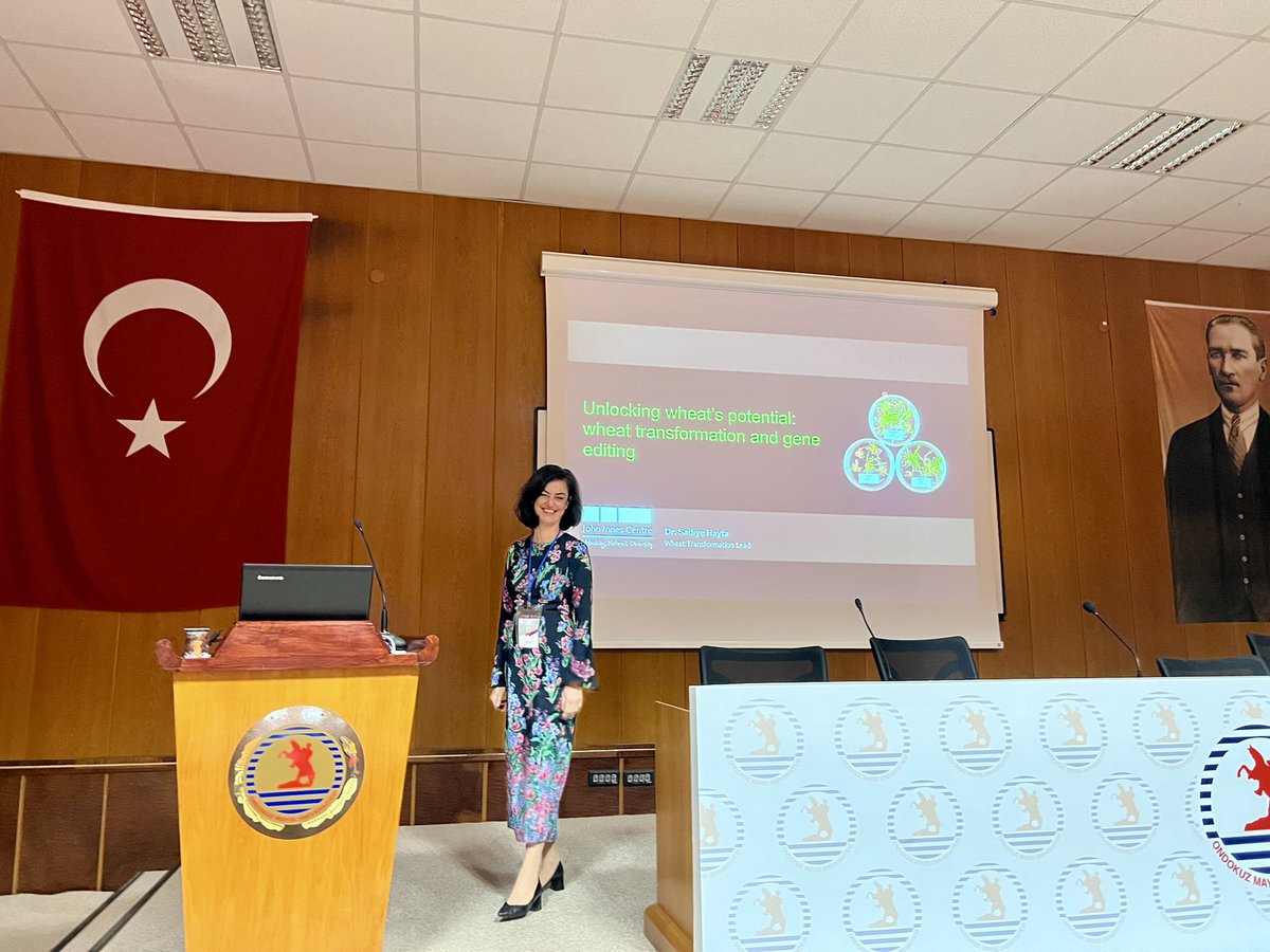 Dr. Götz Hensel (@goehensel) on Twitter photo After a great lunch break now <a href="/SadiyeHayta/">Sadiye Hayta</a> from <a href="/JohnInnesCentre/">John Innes Centre</a> continues the invited lectures at the 5. AAB-PlantEd Congress in Samsun 🇹🇷 talking about the progress achieved in wheat transformation and gene editing towards improved wheat breeding. 
<a href="/AABiologists/">AAB @aabiologists.bsky.social</a> <a href="/COST_PlantEd/">@COST_PlantEd</a> After a great lunch break now <a href="/SadiyeHayta/">Sadiye Hayta</a> from <a href="/JohnInnesCentre/">John Innes Centre</a> continues the invited lectures at the 5. AAB-PlantEd Congress in Samsun 🇹🇷 talking about the progress achieved in wheat transformation and gene editing towards improved wheat breeding. 
<a href="/AABiologists/">AAB @aabiologists.bsky.social</a> <a href="/COST_PlantEd/">@COST_PlantEd</a>