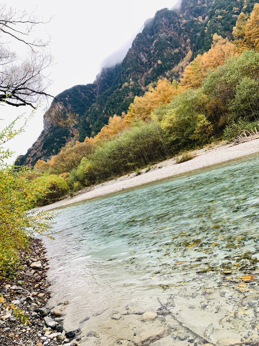 miyoco_bg's tweet photo. 昨日は上高地なら行って来ました。紅葉，見頃で良かった🍁 https://t.co/5tdat2U7Qd