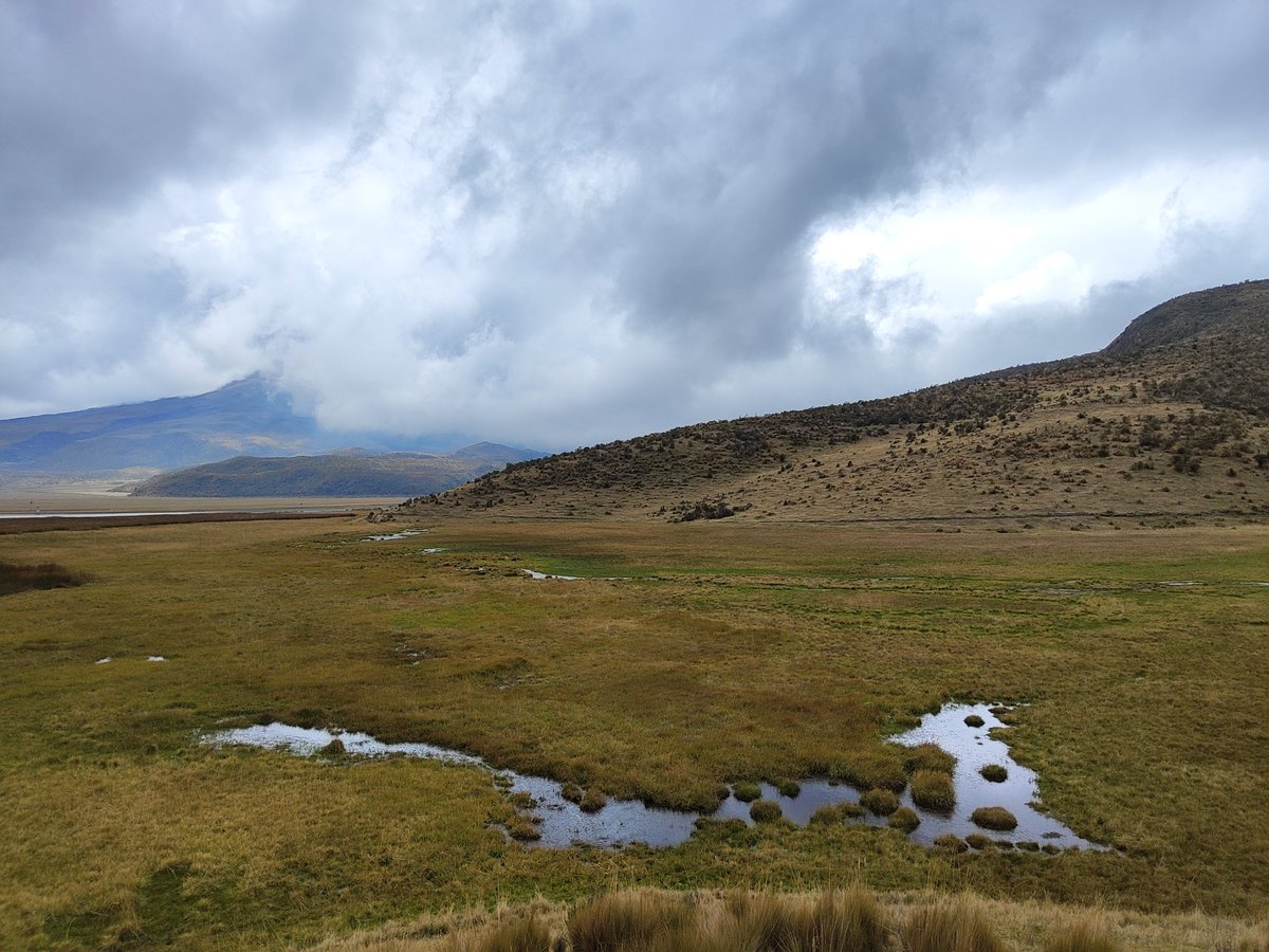 Teachers' Inspection TS 2025. This week is packed with activities. Teachers are experiencing Trek. The group walked along the Limpiopungo lake at the Cotopaxi National Park. The Andes mountains are perfect for trekking  🇪🇨
#CampEcuador #CampsEffect #DoSomethingAmazing <a href="/CampsInt/">Camps International</a>