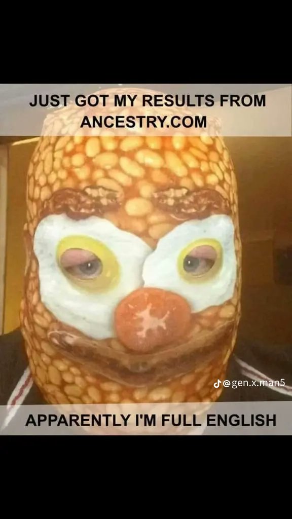 Olly The Owl (@ollyowl70) on Twitter photo 