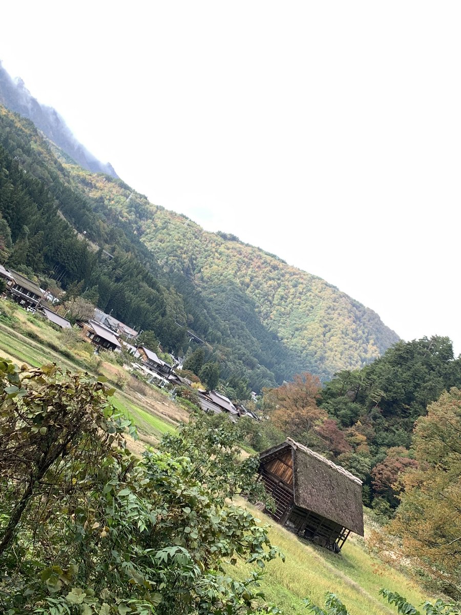 miyoco_bg's tweet photo. そして今日は白川郷。白川郷も良かったー！ https://t.co/febCT4r24v