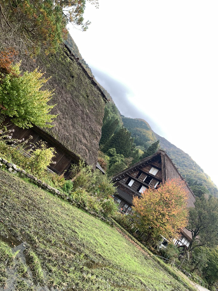 miyoco_bg's tweet photo. そして今日は白川郷。白川郷も良かったー！ https://t.co/febCT4r24v