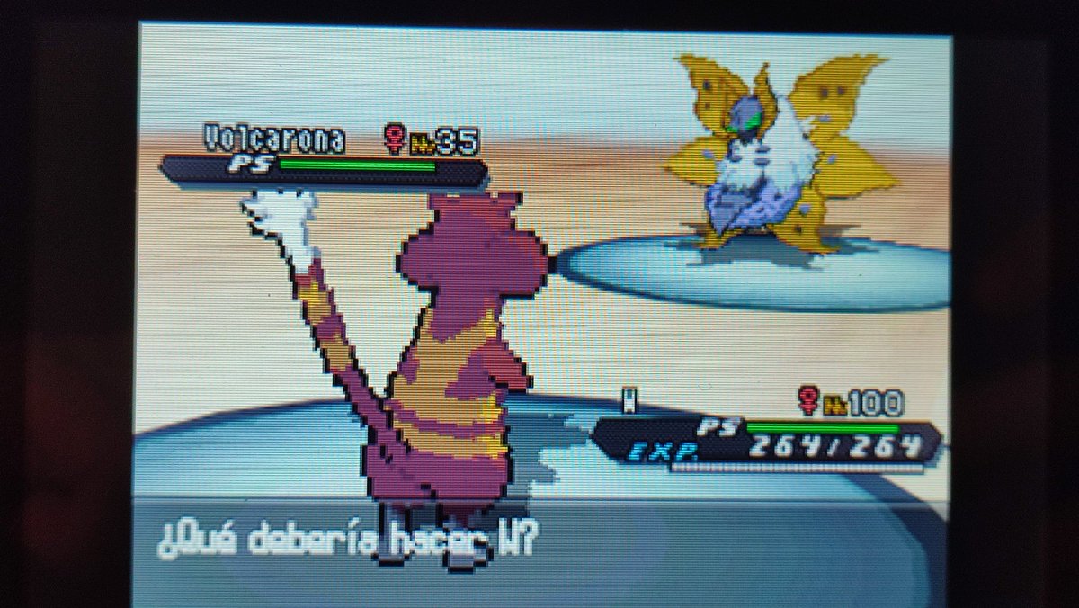 PATATAMON1's tweet photo. 31738 SR ✨🦋

Una de mis cazas mas largas pero por fin termino mi DTQ de negro 2 https://t.co/isvhDPNZHP