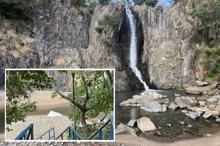 Aaron Busch tweet media