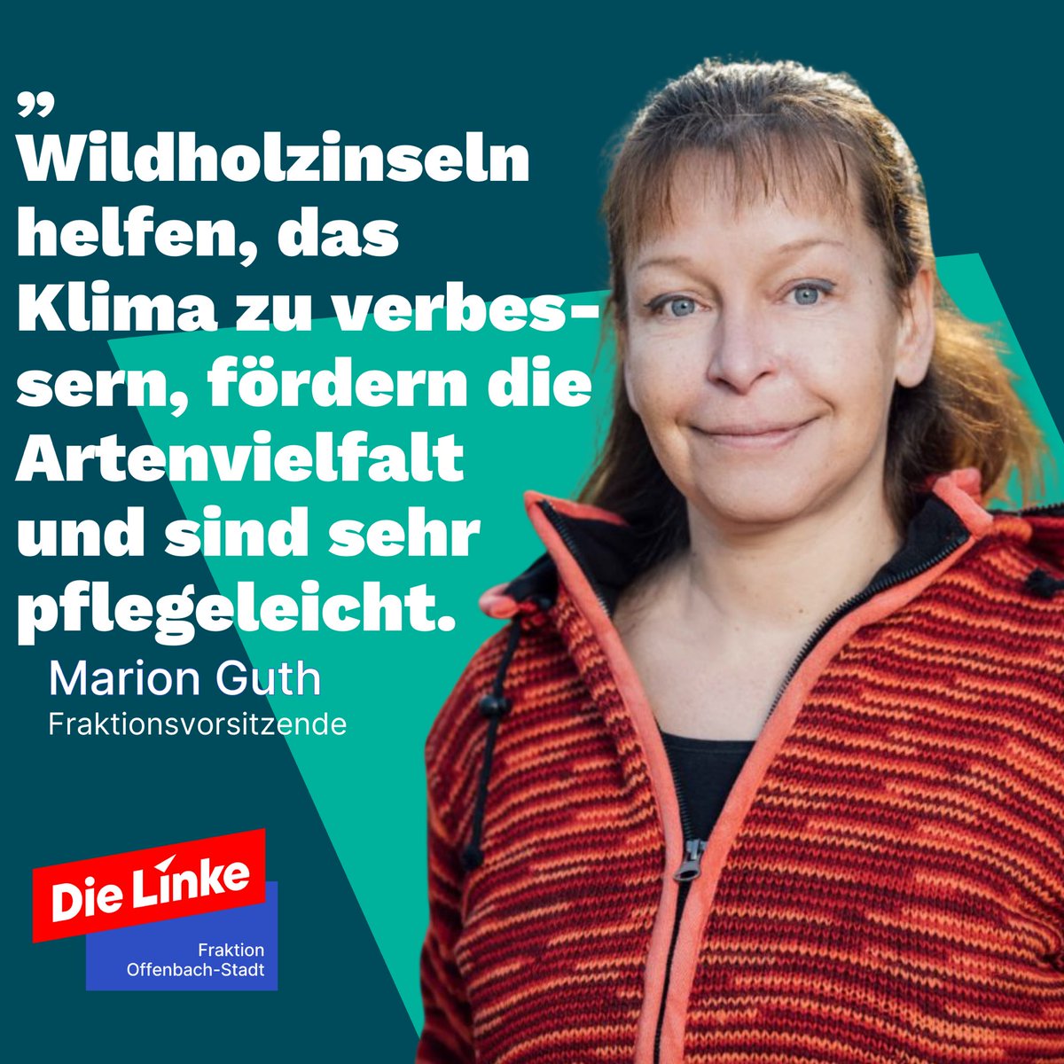 PM: „Wir fordern neue Wildgehölze im Stadtgebiet! Tiny Forests und Feldholzinseln verbessern das Klima, fördern die Artenvielfalt und machen unsere Stadt widerstandsfähiger gegen den Klimawandel.“

Zur PM: die-linke-of-stadt.de/2024/10/30/wil…