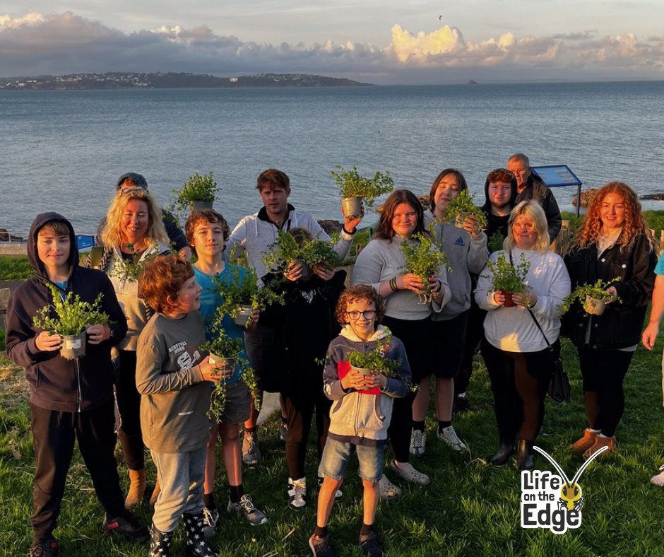 Play Torbay showing us that action for nature doesn't need to be big to make a difference!

Adding just one variety of plant to your back garden or community space will provide a lifeline to local wildlife.

Find us at Shoalstone, Brixham this Thursday to get involved.