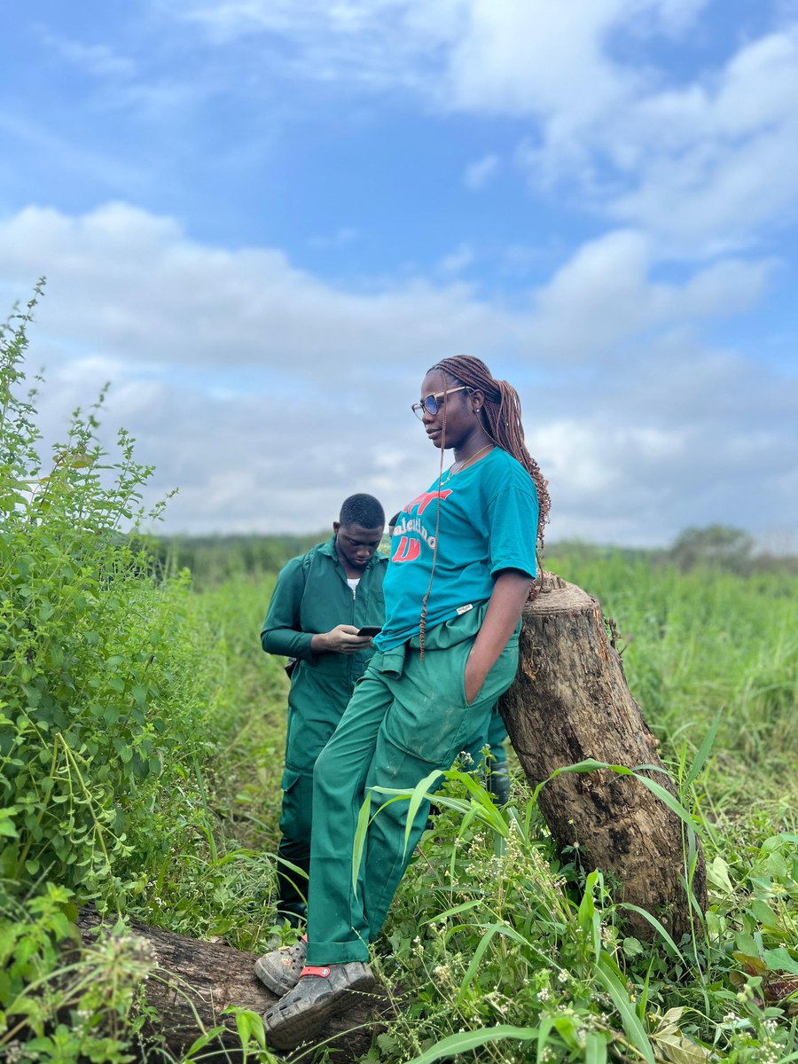 adetowealth1404's tweet photo. Administrator by profession 💚
Farmer by choice 👩‍🌾💚
Diary of a farmer and her farm 👩‍🌾💚

It’s a green year 💚
#D’Farmer 
#funaabFpy
#Farmpracticeyear
#FunaabTwitter https://t.co/nm7ZfXrViH