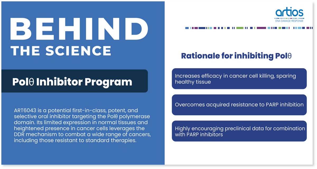 🧬 For this month’s Behind the Science we are diving into our Polθ program, ART6043. ART6043 is a potentially first-in-class oral, potent, and highly selective reversible inhibitor targeting the Polθ polymerase domain.
Want to learn more? Read here: artios.com/pipeline/#pol