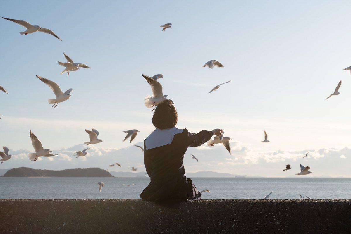 イケダ tweet media