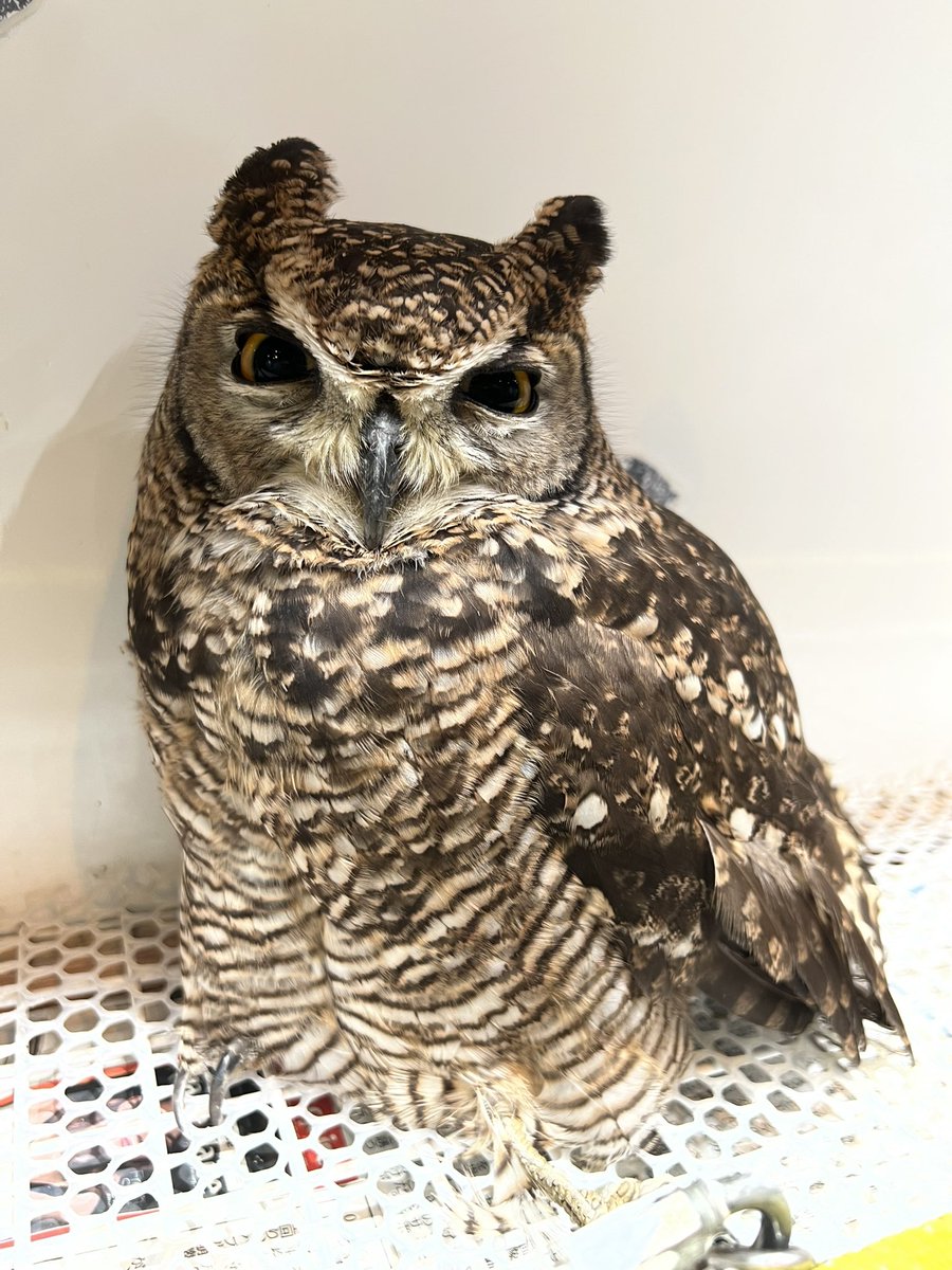 座ってて可愛い