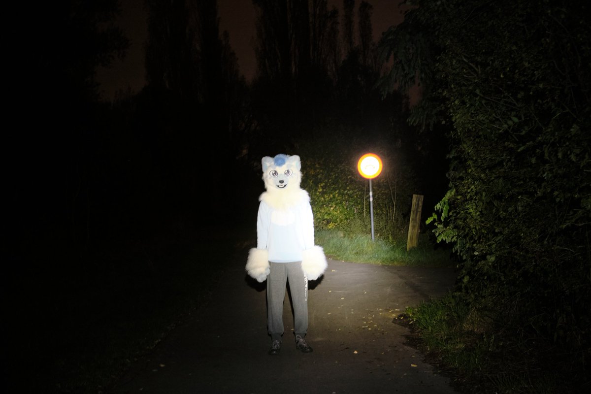 gibafur's tweet image. #Halloween is tomorrow!

Life is really feeling like a horror movie now! 🕷️

Very ominous pic by @Refoofle 👻