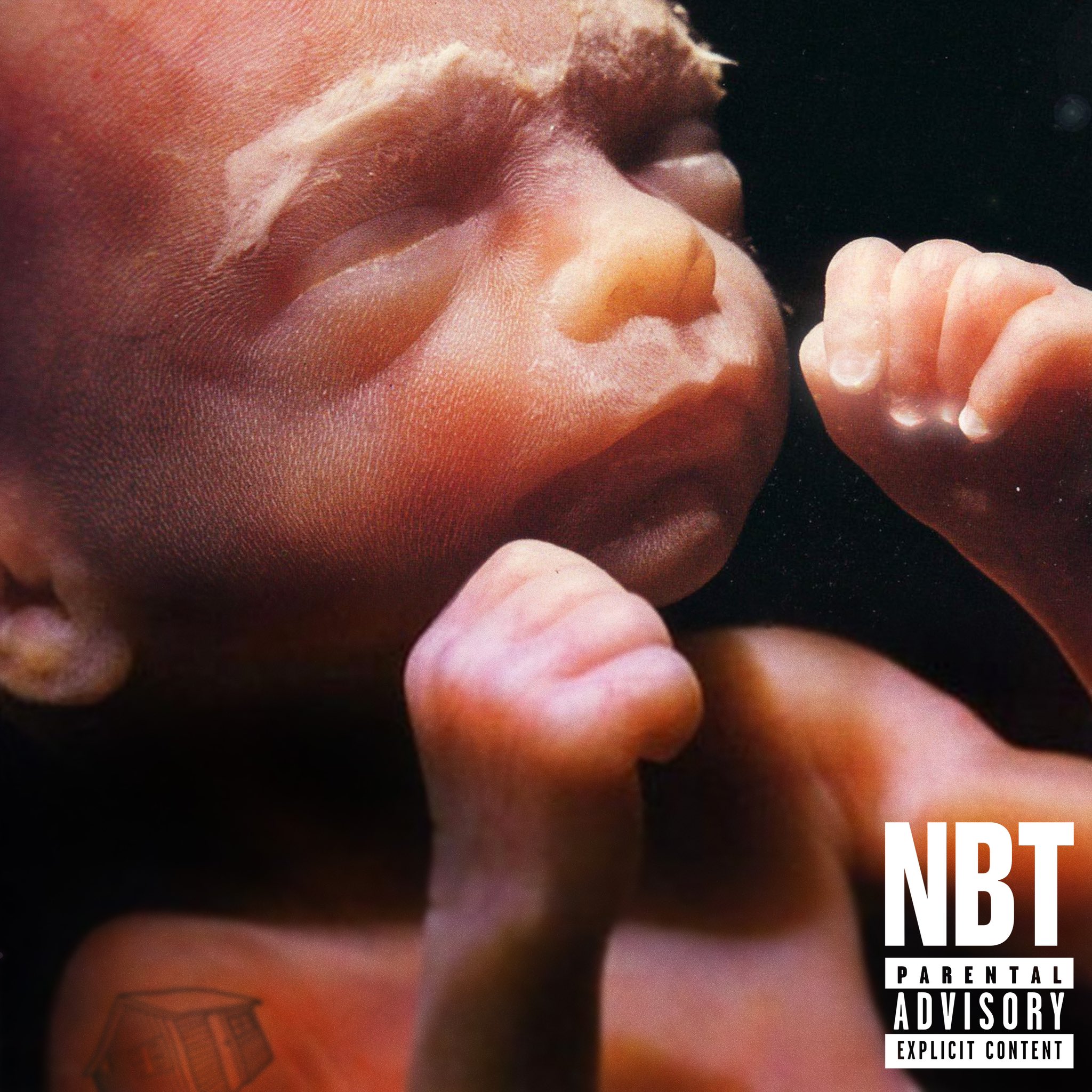 Shed Theory on X: "NATURAL BORN THEORISTS OUT NOW https://t.co/Okmpnk3ue1  https://t.co/cpcGWrxnHG https://t.co/IKgCFCNnO5 https://t.co/vw8314h3mv" / X