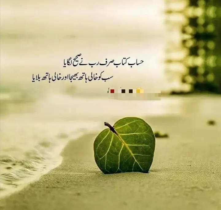 Good evening X friends