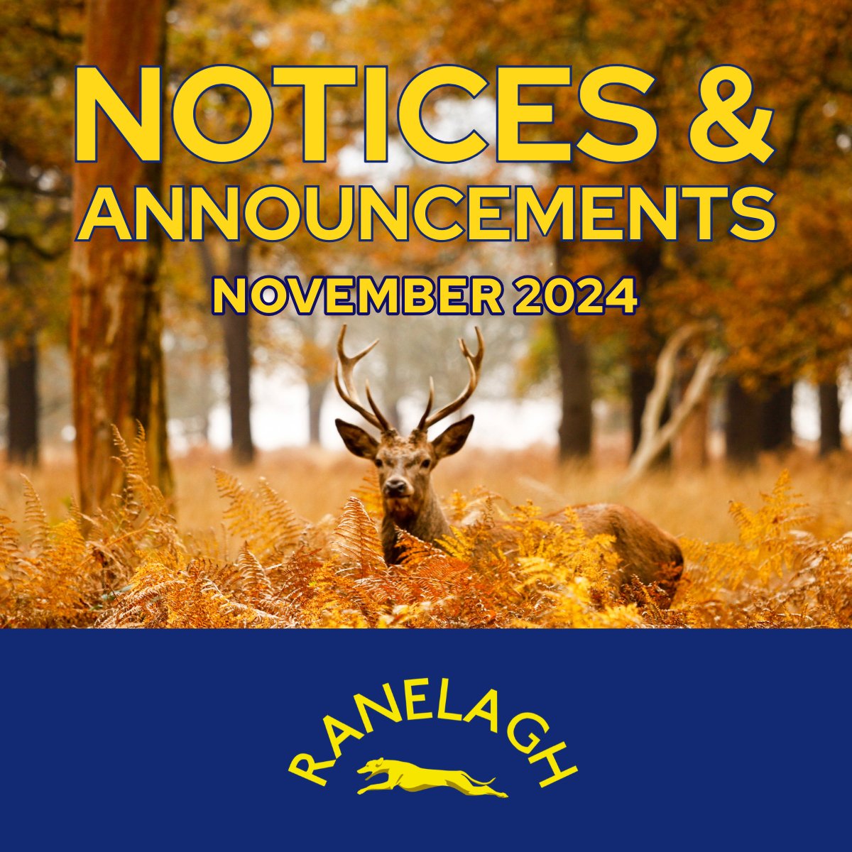 For November fixtures, recent race reports and other notices &amp; announcements, go to ranelagh-harriers.co.uk/nov-2024 👈