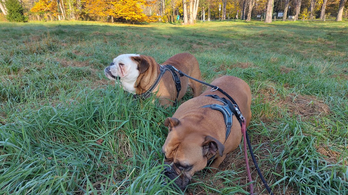 Wir hatten nicht genug Frühstück!!