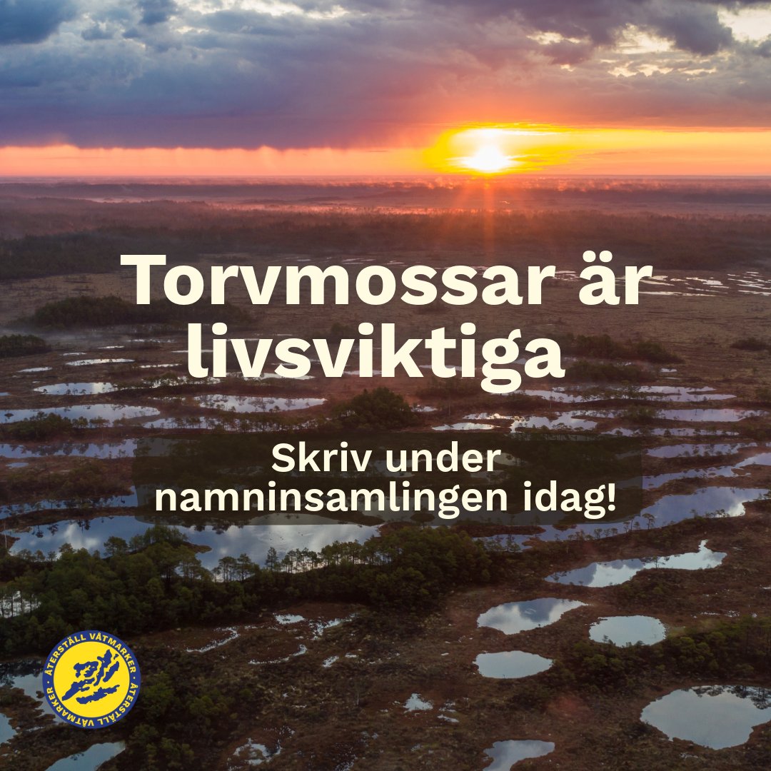 ☀️❤️ TORVMOSSAR ÄR LIVSVIKTIGA ❤️☀️

Skriv under namninsamlingen idag
aterstallvatmarker.se/radda-grimsas/

Att skydda och restaurera kolrika ekosystem som torvmarker är livsviktigt i en tid som präglas av rekordutsläpp, artdöd och extremväder. 

Skriv under idag!

#återställvåtmarker
