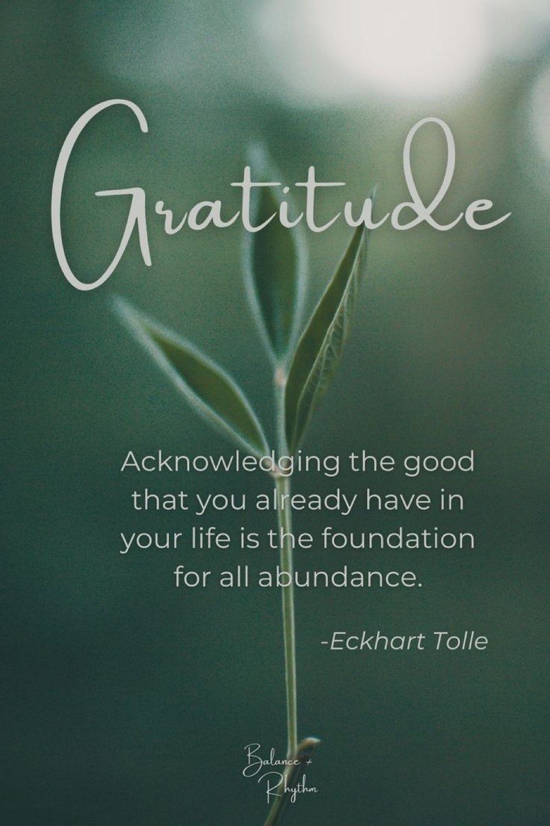 gratefuledu64's tweet photo. #WednesdayWisdom 
#Gratitude 
Being grateful helps us realize (and build on) the incredible abundance in our lives! https://t.co/03HScbu8IB