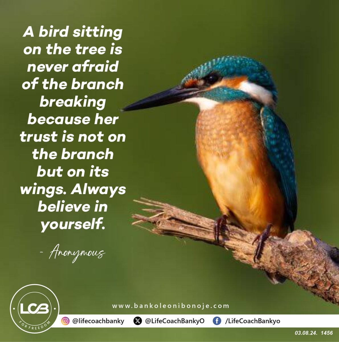 LifeCoachBankyO's tweet photo. #focus #on #the #lessons #you #have #learned #rather #than
#the #mistakes #you #have #made @0nibonoje_publishers @onibonojebankole #loveyourself #movies #lifecoaching #challenges @lcboffice @lcbshirts @lcbhome #eyes #talkless https://t.co/JleGO9hYpS