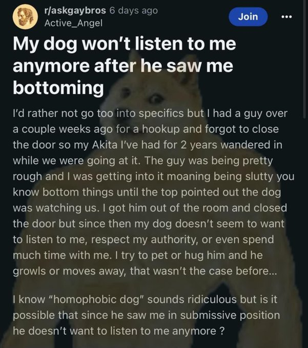 Redditors Posting Ls (@redditorls) on Twitter photo 