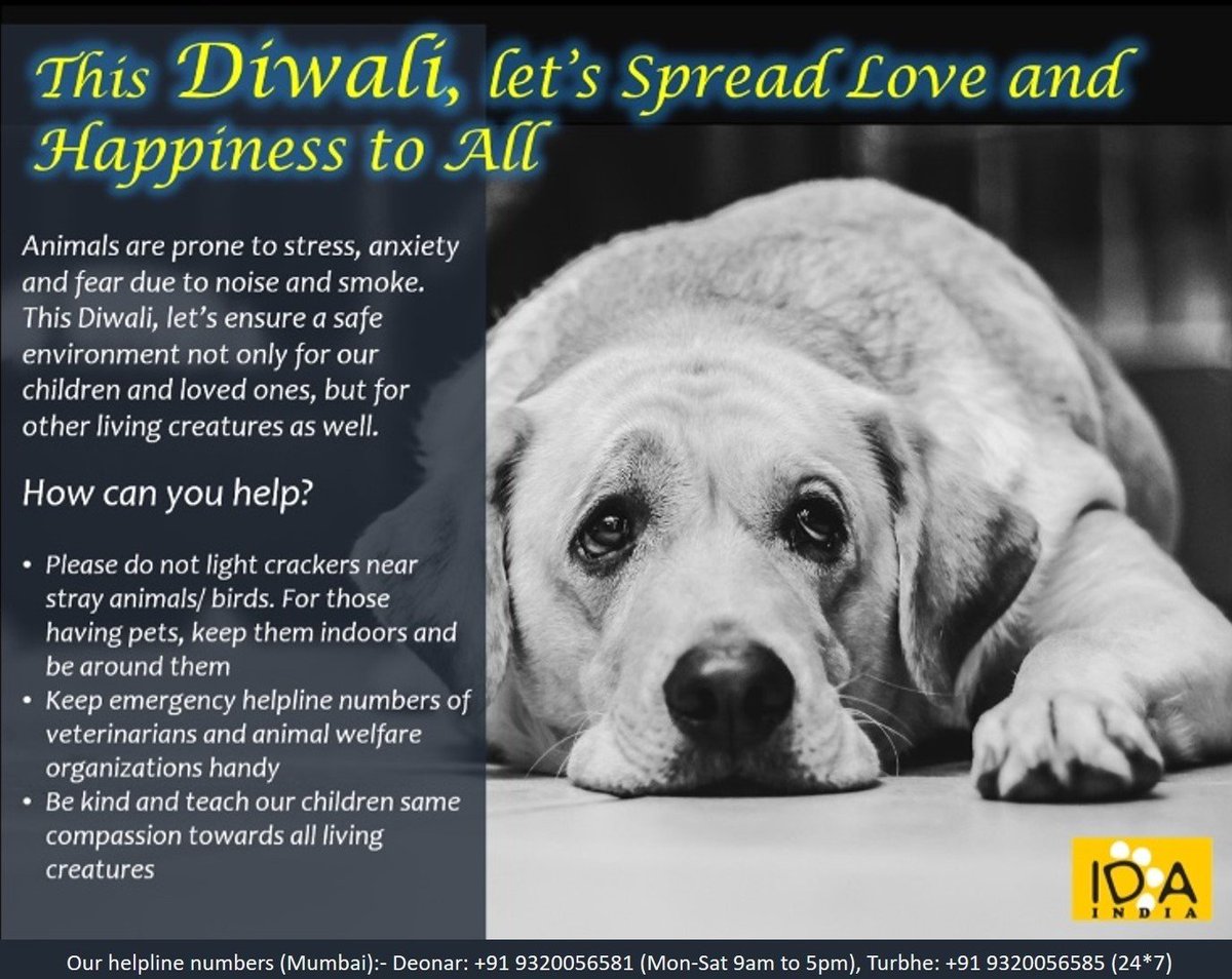 prernabindra's tweet photo. This #Diwali , every #Diwali ..please be considerate, inclusive. spread love and light. NOT noise & pollution.
#SayNoToFireworks https://t.co/fqsAEUJxiH