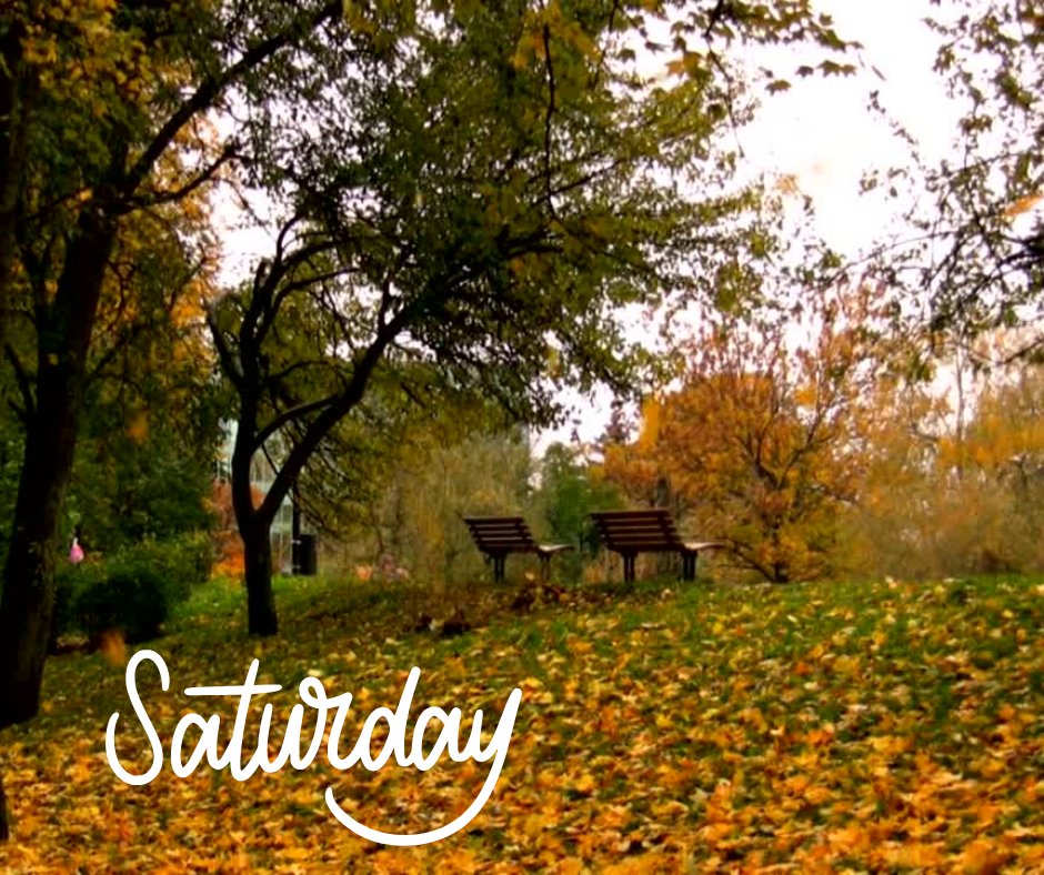QuantumWasteLtd's tweet photo. Today is Saturday, it is a beautiful day for taking time to enjoy life, but also taking action to protect it. We can chill in nature or indoors while taking care of the planet. https://t.co/yi8923EReL