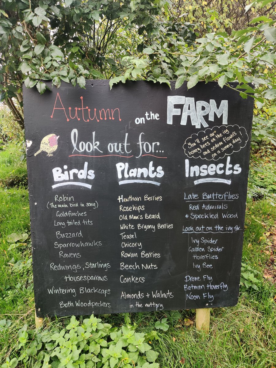 Look out for a whole host of birds, plants and insects this autumn when you visit Bath City Farm! 🍁🍂
Thanks to our CRAFTworks group for making this awesome sign and to our ecologist Mike Williams for providing the information.
Look out for it on the Farm when you visit.