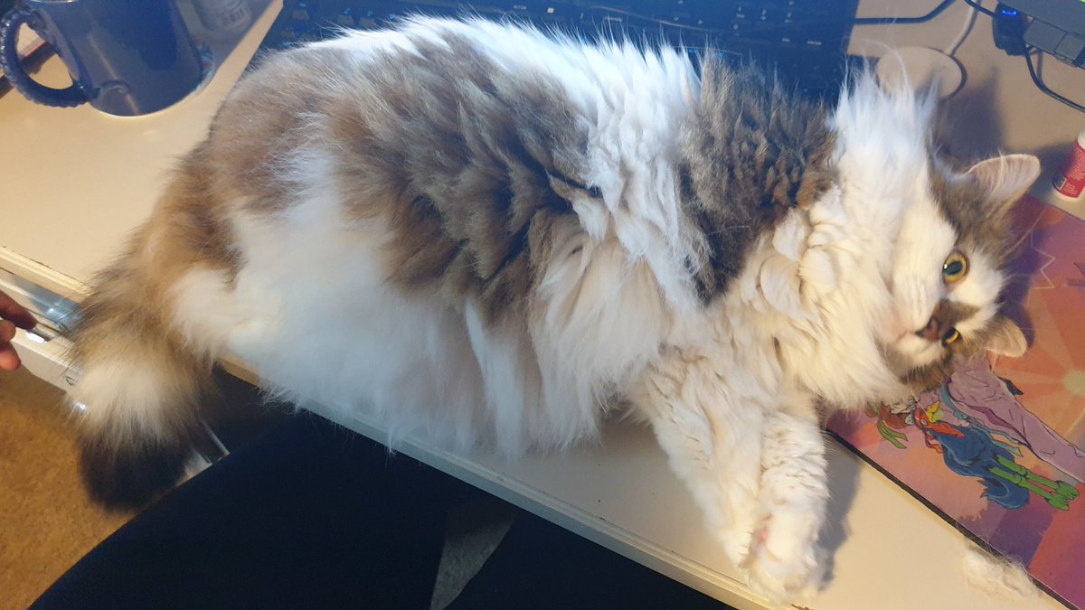 Mousecow tweet media